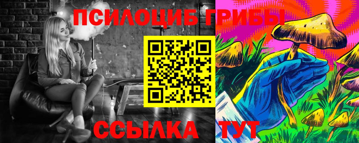 Псилоцибиновые грибы мицелий  Псилоцибиновые грибы Psilocybe  Кумертау  Вход с VPN 
