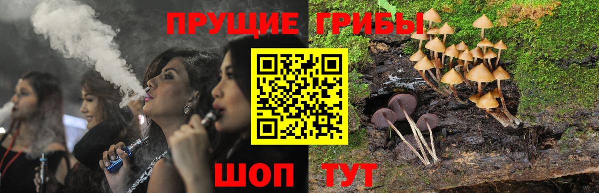 Псилоцибиновые грибы ЛСД Кумертау