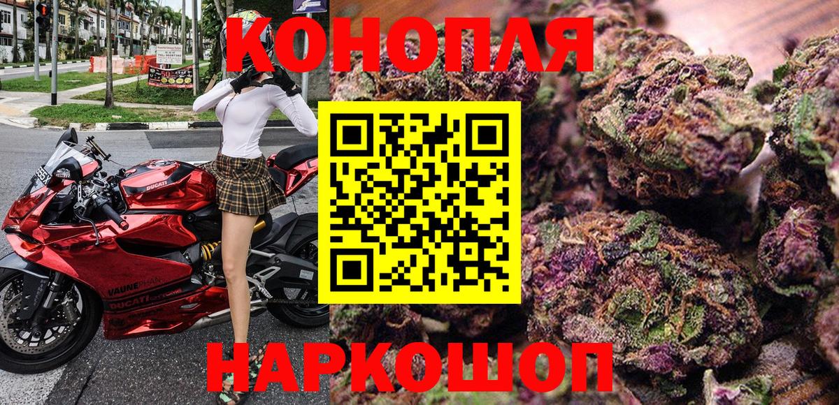 Конопля сатива Кумертау